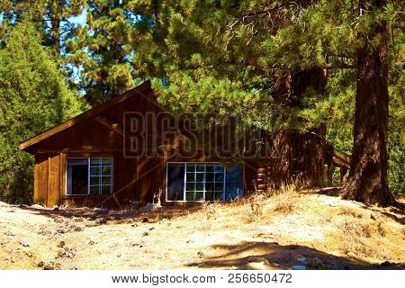 Contemporary And Rustic Style Cabin Surrounded By Pine Trees Taken At An Alpine Forest In Big Bear, 