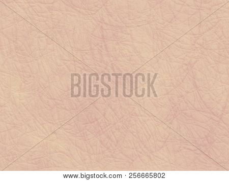 Realistic Aged Leather Texture And Background For Art Work
