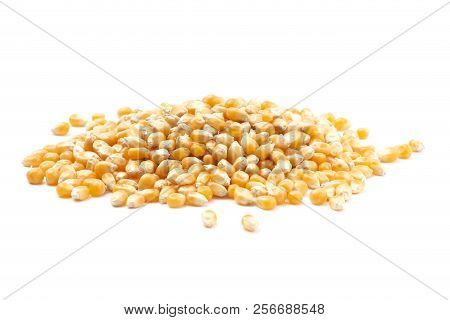 Unpopped Popcorn Kernels On A White Background