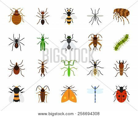 Danger Insect Flat Icons Set. Sign Kit Of Bed Bug. Beetle Pictogram Collection Includes Dragonfly, F