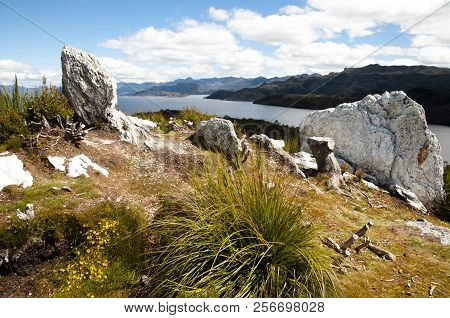 Pedder Lake Near Gordon Dam - Tasmania