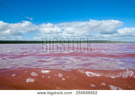 Hutt Lagoon Pink Lake - Western Australia