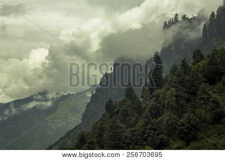 Firry Forest On The Hill And Valley With Cloud