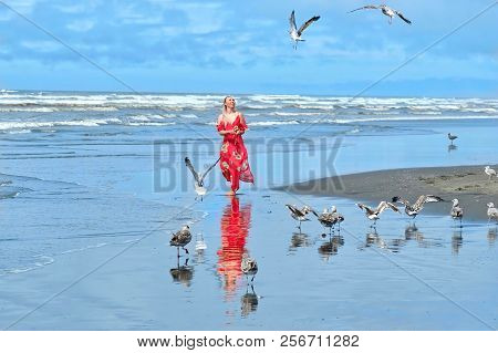 Attractive Woman And Seagulls Birds On Beach By The Sea.  Ocean Shores In Olympic Peninsula.  Seattl