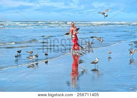 Woman And Seagulls Birds On Beach By The Sea.  Ocean Shores In Olympic Peninsula.  Seattle. Washingt