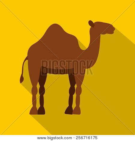 Dromedary Camel Icon. Flat Illustration Of Dromedary Camel Icon For Web Isolated On Yellow Backgroun