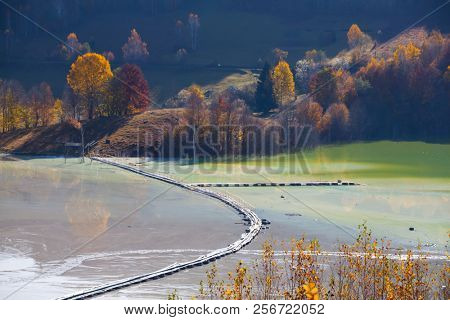 Eecological disaster: cyanide pollution at Geamana Lake near Rosia Montana, Romania