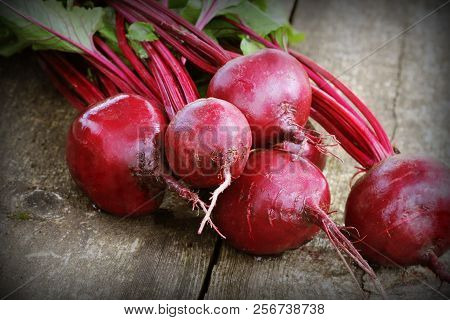 Fresh Beetroot On Rustic Wooden Background. Harvest Vegetable Cooking Conception . Diet Or Vegetaria