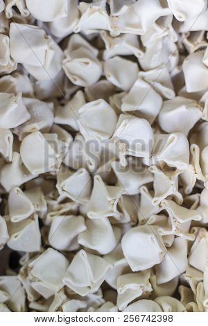 Close-up Vertical Shoot Of Turkish Raw Ravioli On The Fridge