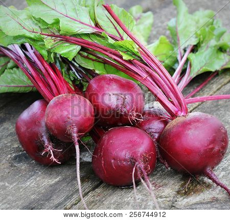 Fresh Beetroot On Rustic Wooden Background. Harvest Vegetable Cooking Conception . Diet Or Vegetaria