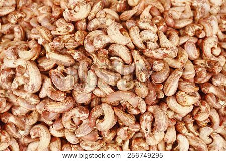 Close-up Of Fresh Cashew Seeds, Sanguem, Goa, India