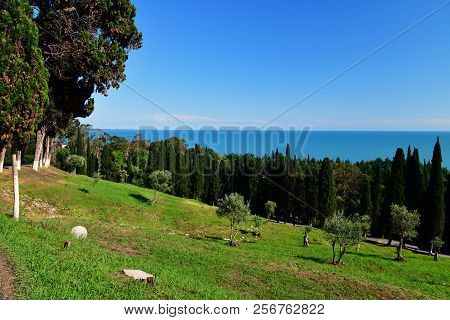 Nature In An Abkhazia Near New Athos