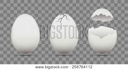 Set Of White Chicken Eggs. Shell With Cracks. Isolated On A Transparent Background. Stock Vector Tem
