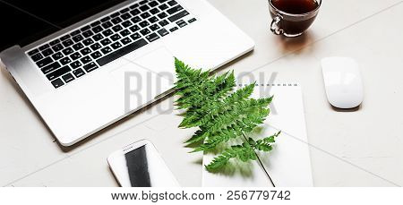 Busines Flat Lay Of Office Stuff On White Table. Notebook, Pencil. Glasses, Laptop, Fern. Banner