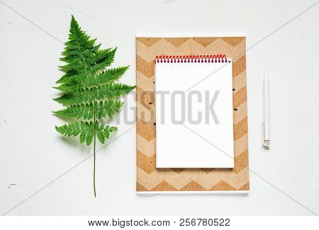 Busines Flat Lay Of Office Stuff On White Table. Notebook, Pencil. Glasses, Laptop, Fern