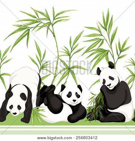 Seamless Pattern, Background. With Pandas And Bamboo.