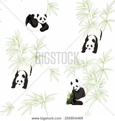 Seamless Pattern, Background. With Pandas And Bamboo.