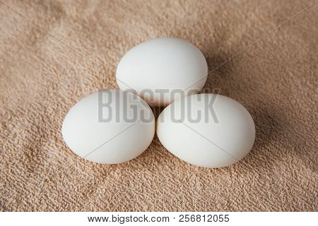 White Chicken Eggs On Brown Tablecloth On A Table