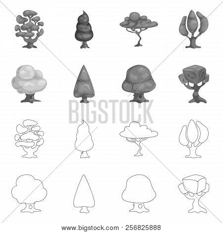 Vector Illustration Of Tree And Nature Sign. Set Of Tree And Crown Stock Vector Illustration.