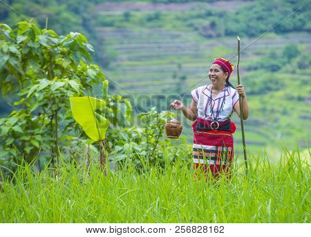 Banaue, Philippines - May 02 : Woman From Ifugao Minority Near A Rice Terraces In Banaue The Philipp