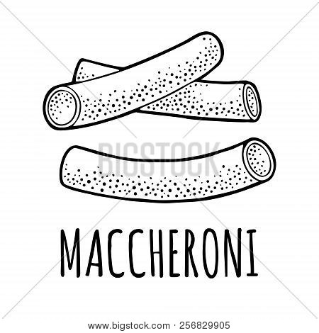 Pasta Maccheroni. Vector Vintage Engraving Black Illustration