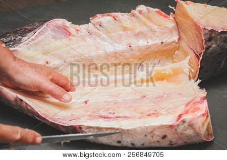 Cleaning The Fish And Cutting It Into Pieces. Hands Of A Fishmonger Slicing Pintado Fish. Pintado Fi