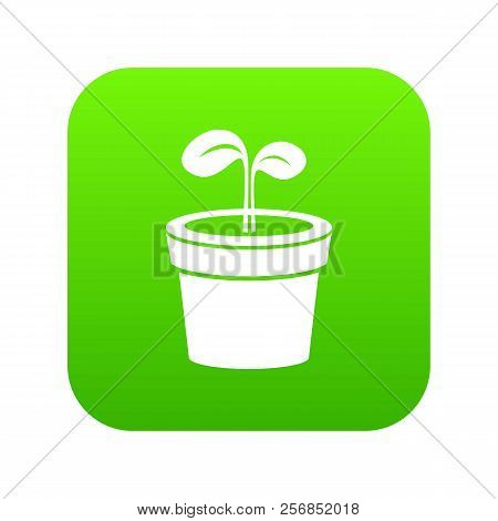 Plant Icon Green Isolated On White Background