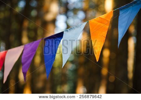 Carnival Garland With Flags, Decorative Party Pennants For Birthday Celebration, Festival And Fair D