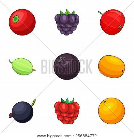 Berry Icons Set. Cartoon Set Of 9 Berry Icons For Web Isolated On White Background