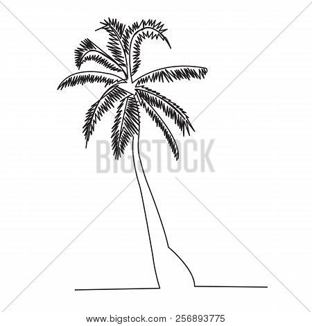 Continuous Single Drawn One Line Palm Hand-drawn Picture Silhouette. Line Art. Palm Tree
