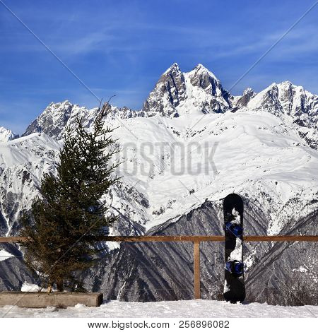 Snowboard And Felled Fir-tree On Viewpoint At Ski Resort. View On Snowy Mount Ushba, Caucasus Mounta