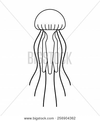 Jellyfish Isolated. Marine Animal. Wildlife Vector Illustration