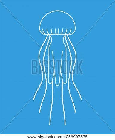 Jellyfish Isolated. Marine Animal. Wildlife Vector Illustration