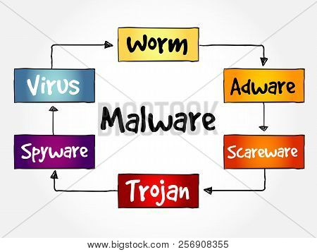 Malware Mind Map Flowchart Business Technology Concept For Presentations And Reports