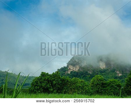 Tham Pha Ya Or Bat Cave , Na Duang District, Loei Province.