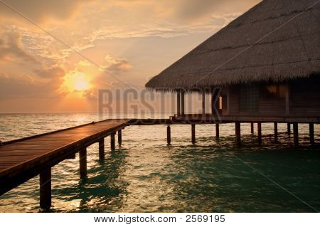 Tropical Beach