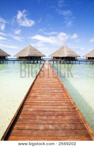 Tropical Beach