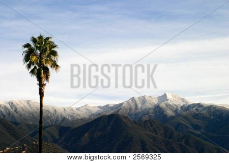 Neve do Sul da Califórnia