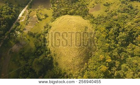 Amazingly Shaped Chocolate Hills On Sunny Day On Bohol Island, Philippines. Aerial View Chocolate Hi
