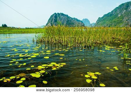 Van Long Nature Reserve With Boats And Beautiful Mountains, Ninhbinh In Vietnam