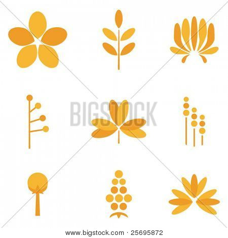 набор цветочный логотипов