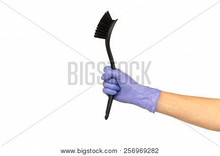 Woman Hand In A Purple Rubber Glove Holds A Black Dishwashing Brush With A Plastic Handle. Isolate O