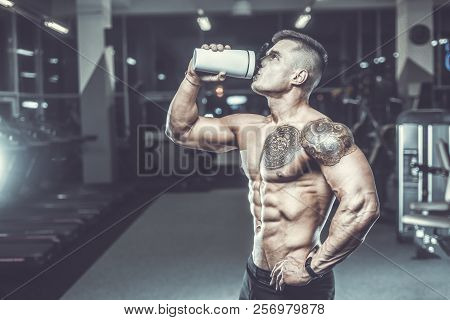 Handsome Strong Bodybuilder Athletic Men Pumping Up Muscles With Dumbbells