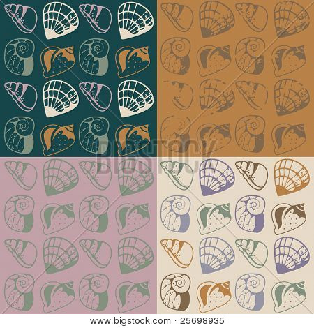 Different shells pattern