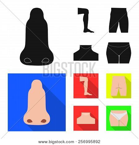 Isolated Object Of Human And Part Sign. Collection Of Human And Woman Stock Symbol For Web.