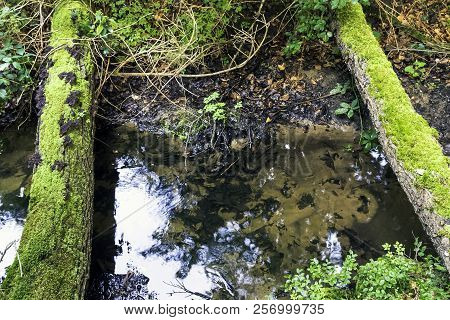 Stream In Wild Forest - Slowinski National Park, Kaszuby, Pomorskie, Poland