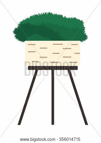 Plant In Flowerpot, Floral Decor In Green Color Isolated On White. Potted Houseplant And Gardening E