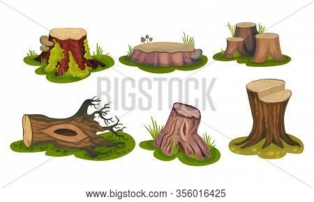 Freshly-cut Stubs And Moss-covered Stumps Standing On Green Patch Vector Set