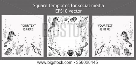 Set Of Square Templates For Social Media. Frames With Underwater Inhabitants. Seahorse, Shells And S