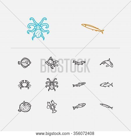 Aquatic Icons Set. Salmon And Aquatic Icons With Turbot, Seafood And Crab. Set Of Crayfish For Web A